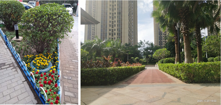 微信截圖_20210315223441